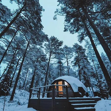 Pokemaja Nova Maennimetsas 度假居 *