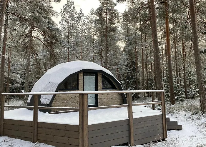 Pokemaja Nova Maennimetsas