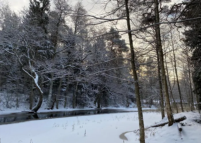 Pokemaja Nova Maennimetsas بيت للعطل Rannaküla